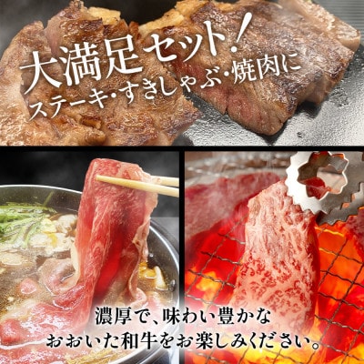 おおいた和牛　大満足セット(ステーキ2枚・すき焼き700g・焼肉600g)