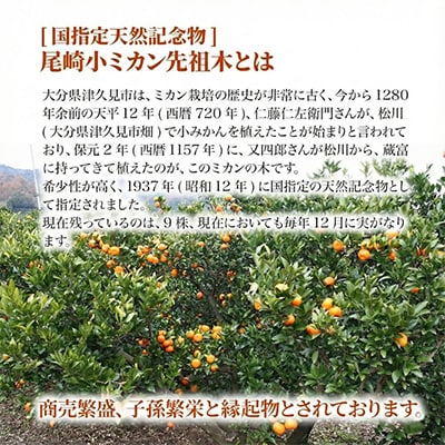 [国指定天然記念物]尾崎小ミカン先祖木の小ミカン