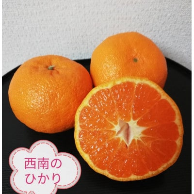 西南のひかり 3kg | 大分県津久見市 | ふるさと納税サイト「さと