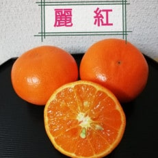 麗紅 3kg