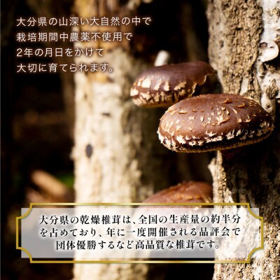 大分県産 上どんこ椎茸ギフト 270g(津久見市)
