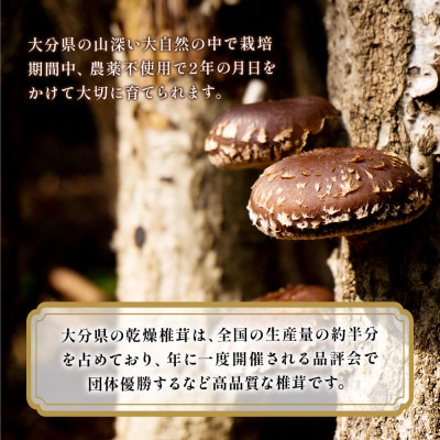 大分県産 訳あり小粒どんこ椎茸50g×10パック(津久見市)