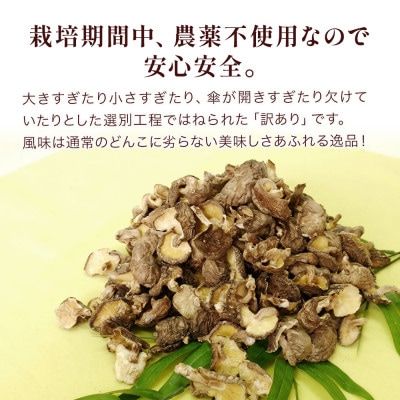 大分県産 原木椎茸100g×3パック(津久見市)