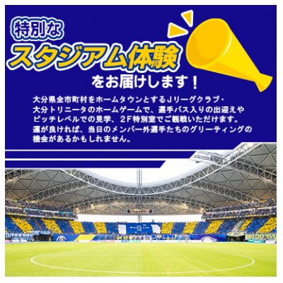 大分トリニータ　ホームゲームツアー&プレミアム観戦体験(1名)(津久見市)