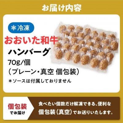 《おおいた和牛100%使用》おおいた和牛 ハンバーグ プレーン 真空 個包装 24個(津久見市)