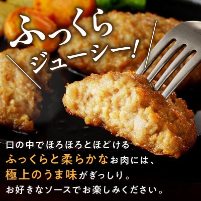《おおいた和牛100%使用》おおいた和牛 ハンバーグ プレーン 真空 個包装 24個(津久見市)