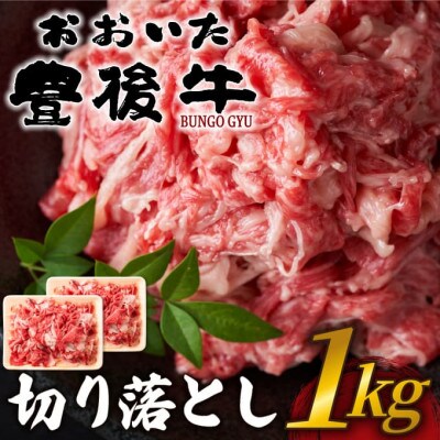 おおいた豊後牛切り落とし1kg(500g×2P)(津久見市)