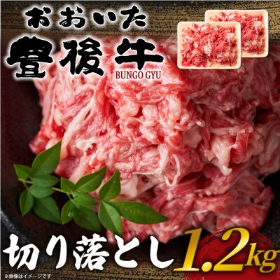 おおいた豊後牛切り落とし1.2kg(600g×2P)(津久見市)