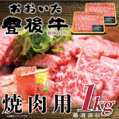 おおいた豊後牛焼肉用1kg(500g×2P)(津久見市)