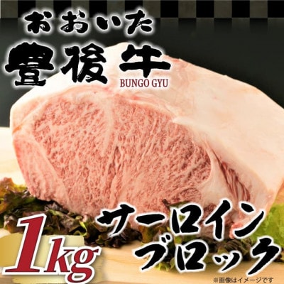 【厳選部位】おおいた豊後牛サーロインブロック1kg(津久見市)