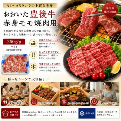 【A4～A5】おおいた豊後牛赤身モモ焼肉用 500g(250g×2p)(津久見市)