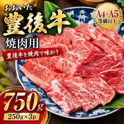 【A4～A5】おおいた豊後牛焼肉用 750g(250g×3p)