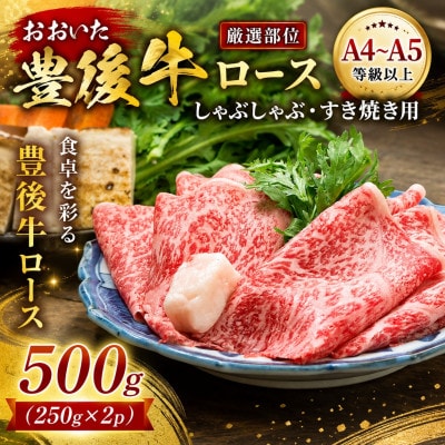 【厳選部位】【A4～A5】おおいた豊後牛ロースしゃぶしゃぶすき焼き用 500g(250g×2p)