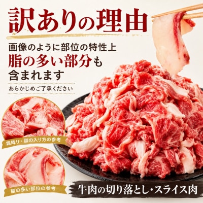 【A4～A5】訳あり!おおいた豊後牛切り落とし 250g
