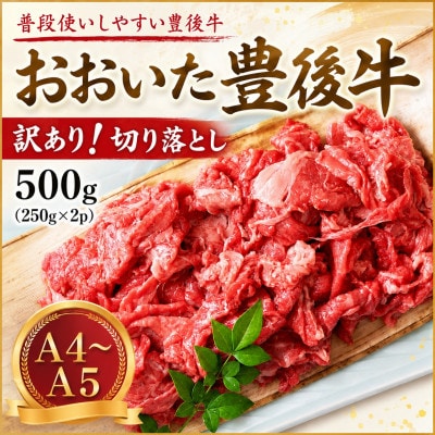 【A4～A5】訳あり!おおいた豊後牛切り落とし 500g(250g×2p)