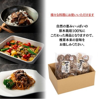 乾しいたけ 一番しいたけセット(津久見市)