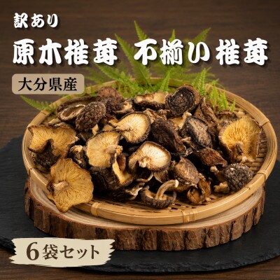 訳あり 不揃い原木椎茸 6袋セット(津久見市)