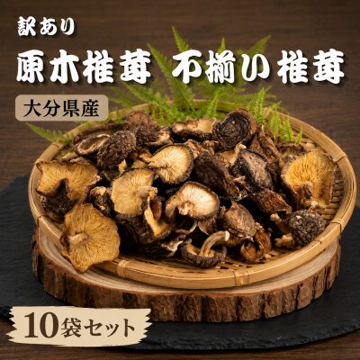 訳あり 不揃い原木椎茸 10袋セット(津久見市)