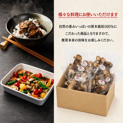 訳あり 不揃い原木椎茸 10袋セット(津久見市)
