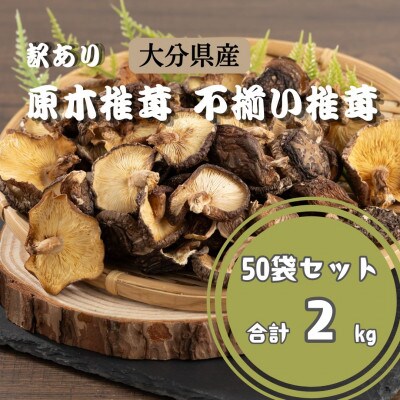 訳あり 不揃い原木椎茸 50袋セット(津久見市)
