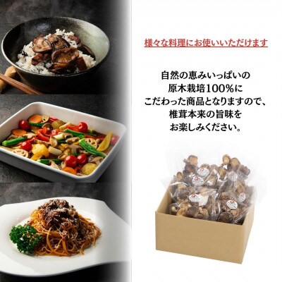 訳あり 不揃い原木椎茸 50袋セット(津久見市)