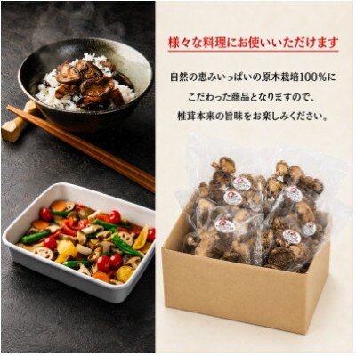 訳あり 不揃い原木椎茸 50袋セット(津久見市)
