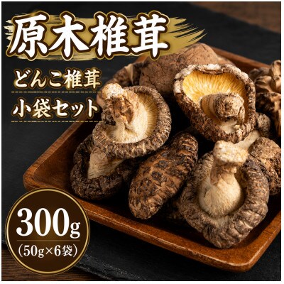 原木椎茸 どんこ椎茸 小袋セット 300g(50g×6袋)(津久見市)