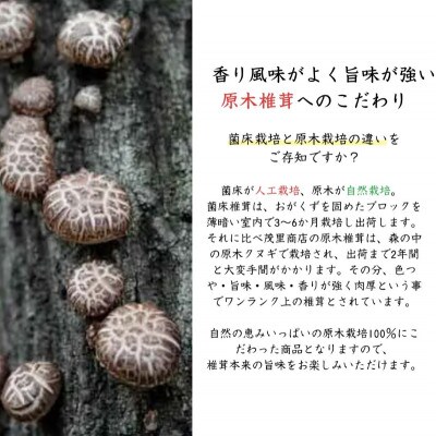 原木椎茸 どんこ椎茸 小袋セット 300g(50g×6袋)(津久見市)
