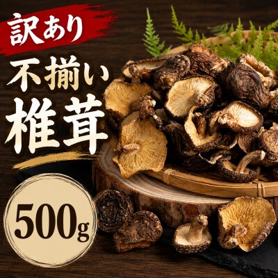 訳あり不揃い 椎茸 約500g (津久見市)