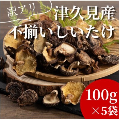 訳あり不揃い 椎茸 約500g (津久見市)