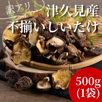 【津久見市産】訳あり 不揃い 椎茸 約500g (津久見市)