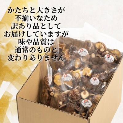 訳あり不揃い 椎茸 約500g (津久見市)