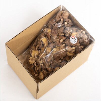 訳あり不揃い 椎茸 約500g (津久見市)