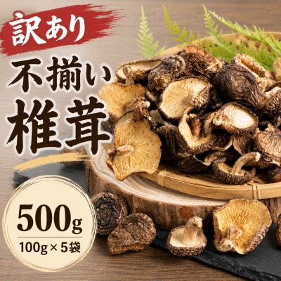 訳あり 不揃い椎茸　100g×5袋(津久見市)