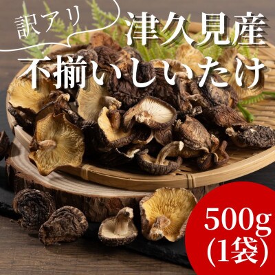 訳あり 不揃い椎茸 100g×5袋(津久見市)