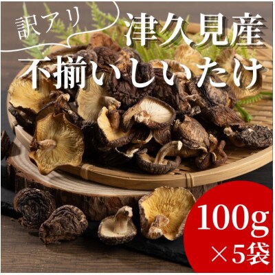 【津久見市産】訳あり不揃い 椎茸 100g×5袋(津久見市)