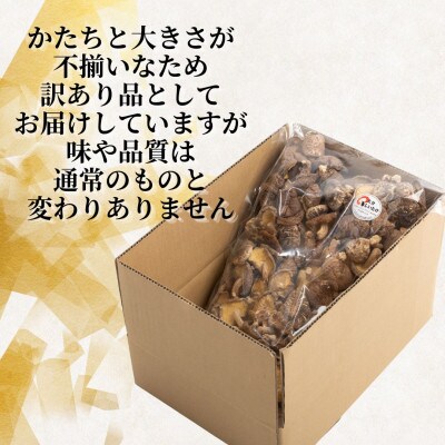 訳あり 不揃い椎茸 100g×5袋(津久見市)