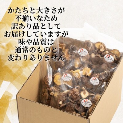 【津久見市産】訳あり不揃い 椎茸 100g×5袋(津久見市)