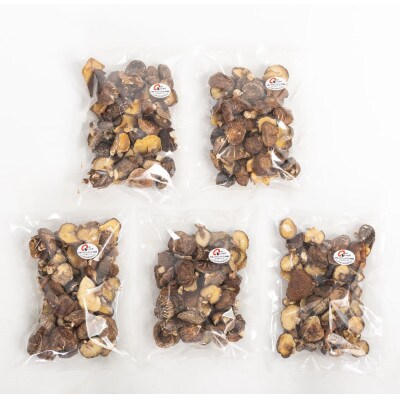 訳あり 不揃い椎茸　100g×5袋(津久見市)