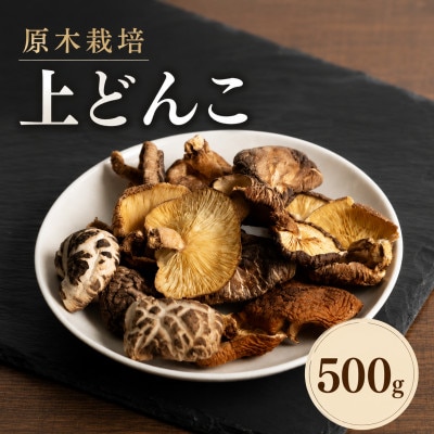 原木栽培 上どんこ 500g(津久見市)