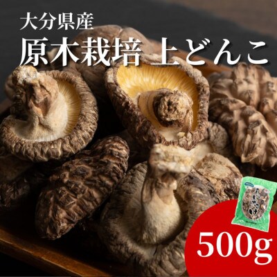 原木栽培 上どんこ 500g(津久見市)