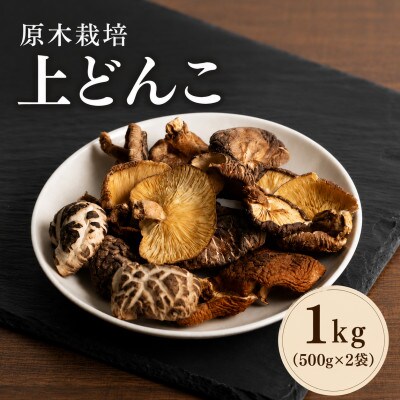 原木栽培 上どんこ 1kg(500g×2袋)(津久見市)