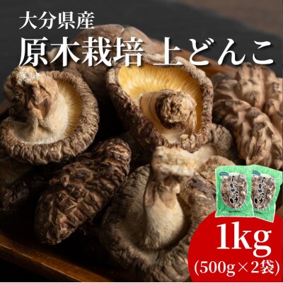 原木栽培 上どんこ 1kg(500g×2袋)(津久見市)