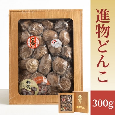 【椎茸】進物どんこ椎茸 300g(津久見市)