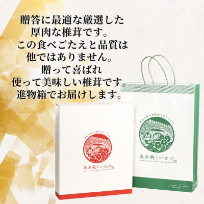 【椎茸】進物どんこ椎茸 300g(津久見市)