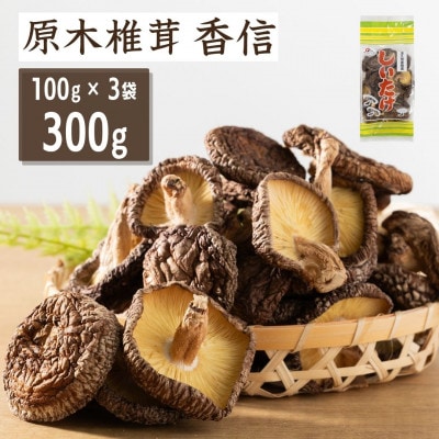 津久見産 原木しいたけ香信 100g×3袋(津久見市)