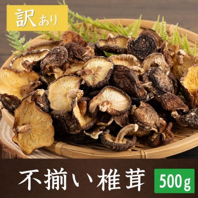 訳あり不揃い 椎茸 約500g (津久見市)