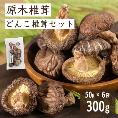 【津久見産】原木どんこ椎茸 50g×6袋(津久見市)