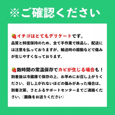 【先行予約】【27年2月以降順次発送】大分産ベリーツ(約250g×4パック)(津久見市)