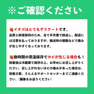 【先行予約】【27年2月以降順次発送】大分産ベリーツ(約250g×6パック)(津久見市)